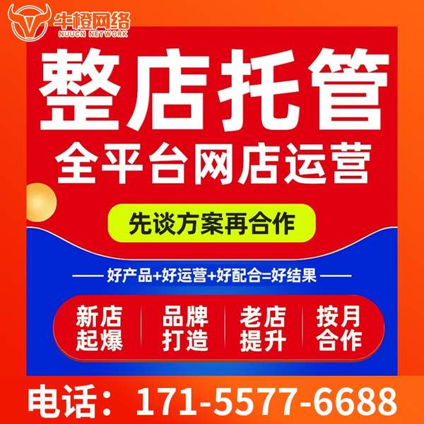 济宁电商代运营