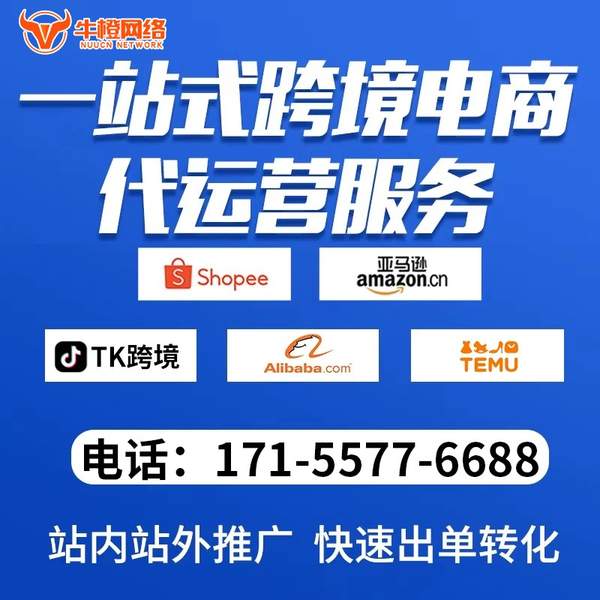 济宁电商代运营